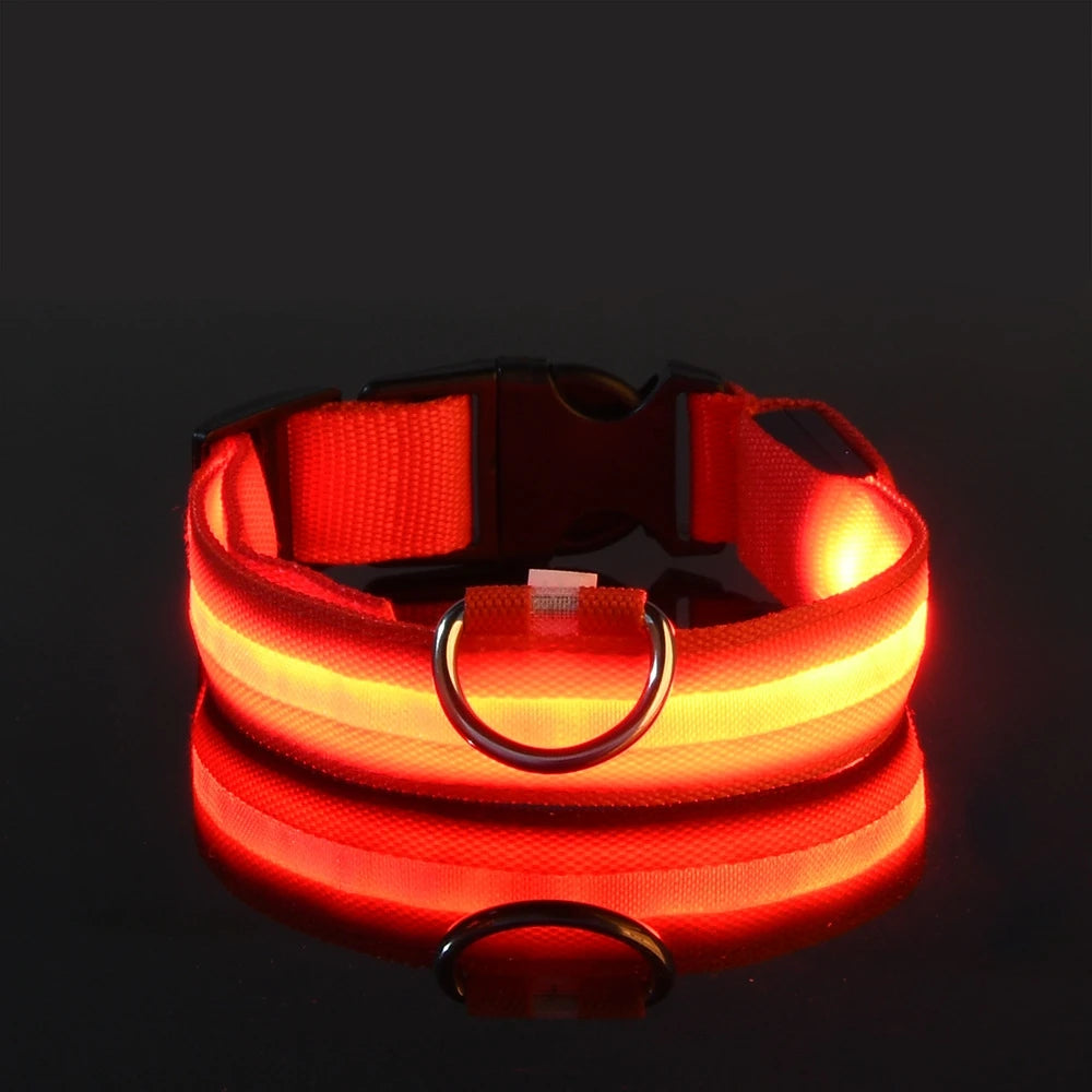 Luminous LED Dog Leash & Glow Collar – Night Safety for Pets