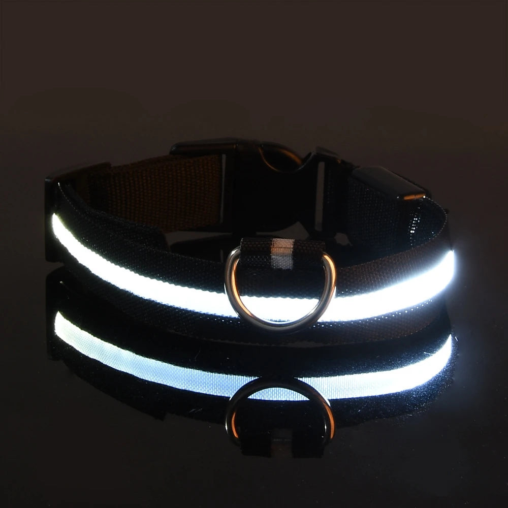 Luminous LED Dog Leash & Glow Collar – Night Safety for Pets