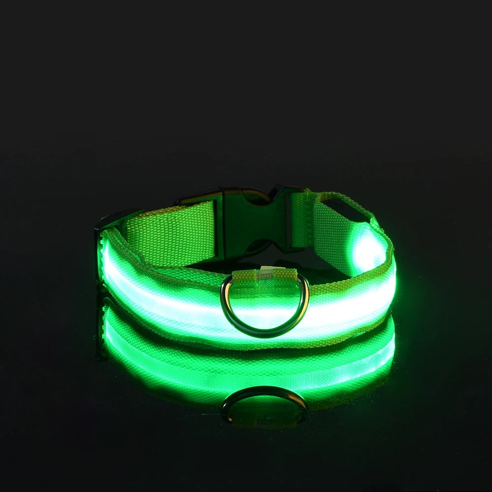Luminous LED Dog Leash & Glow Collar – Night Safety for Pets