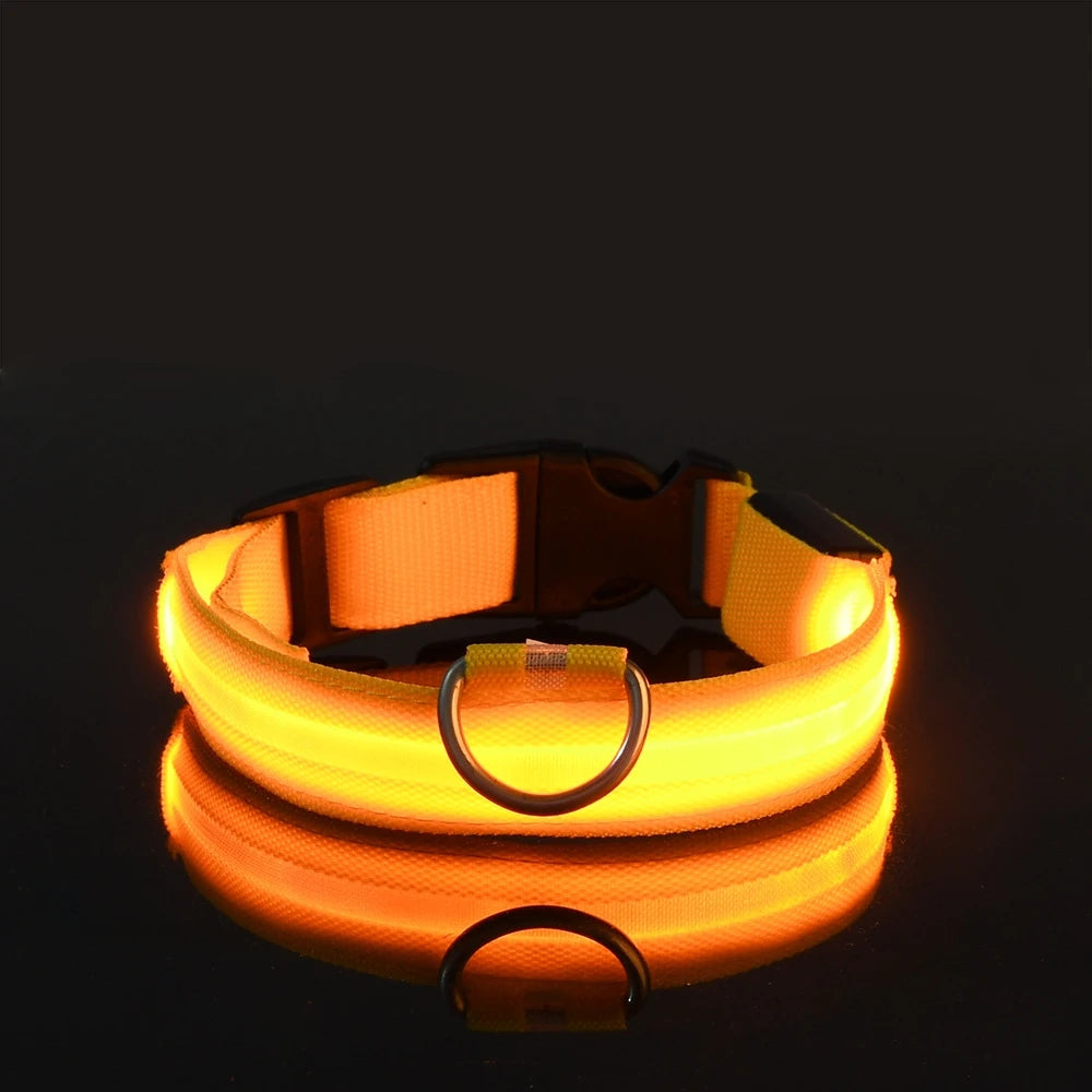 Luminous LED Dog Leash & Glow Collar – Night Safety for Pets