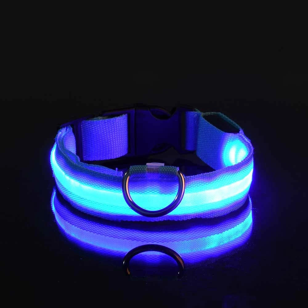 Luminous LED Dog Leash & Glow Collar – Night Safety for Pets