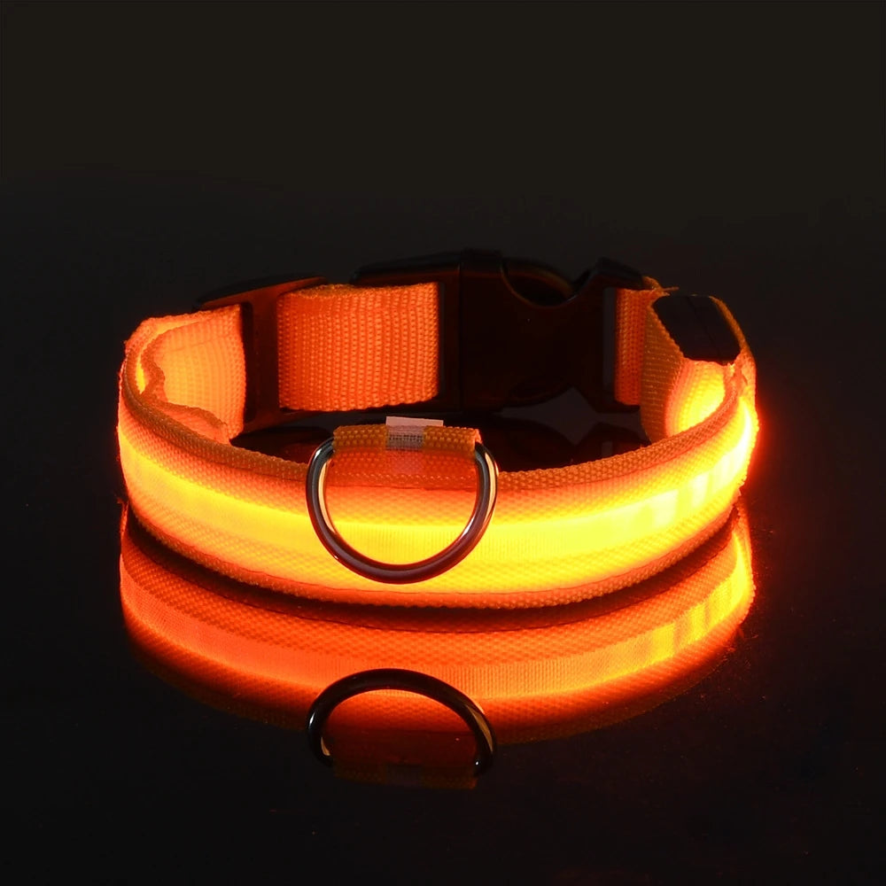 Luminous LED Dog Leash & Glow Collar – Night Safety for Pets