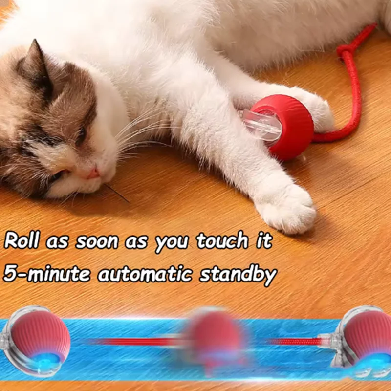 Automatic Interactive Cat Toy for Independent Play