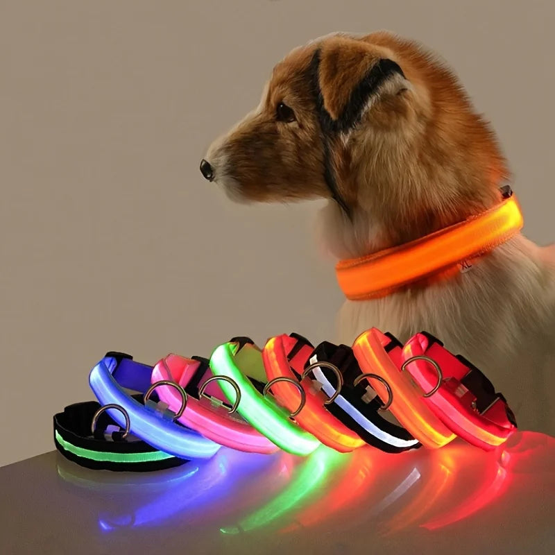 Luminous LED Dog Leash & Glow Collar – Night Safety for Pets