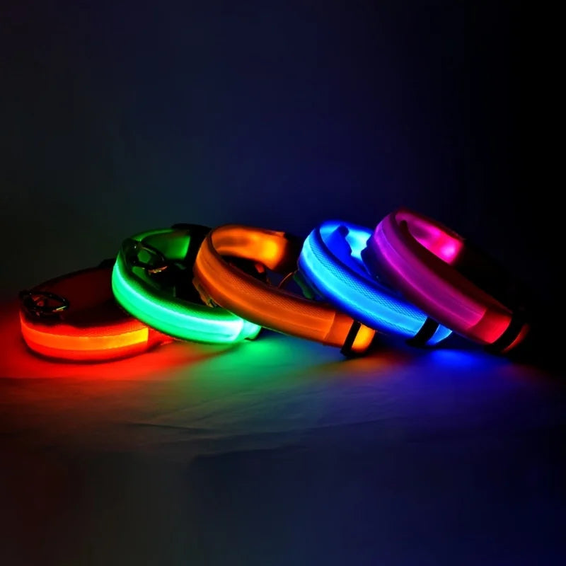 Luminous LED Dog Leash & Glow Collar – Night Safety for Pets