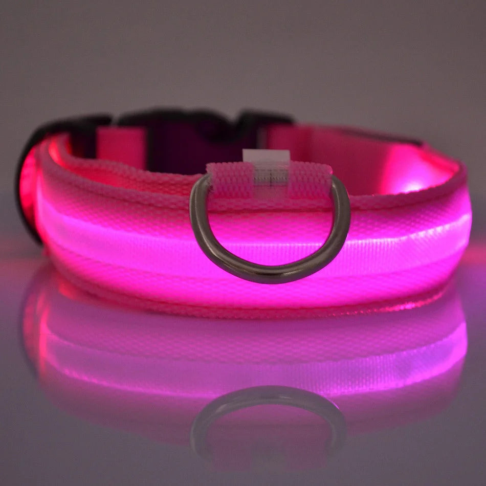 Luminous LED Dog Leash & Glow Collar – Night Safety for Pets