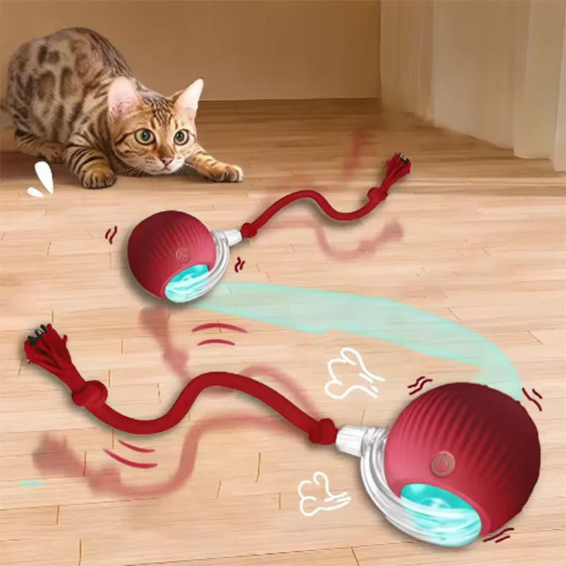 Automatic Interactive Cat Toy for Independent Play