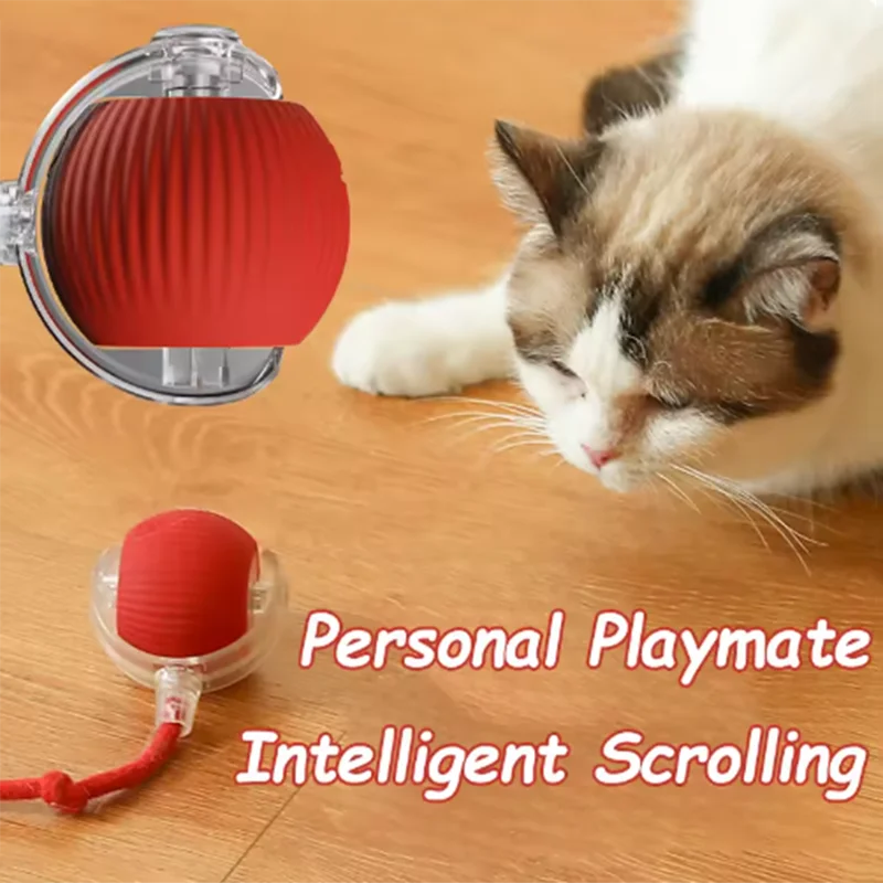 Automatic Interactive Cat Toy for Independent Play