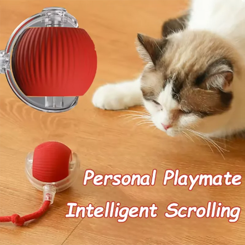 Automatic Interactive Cat Toy for Independent Play