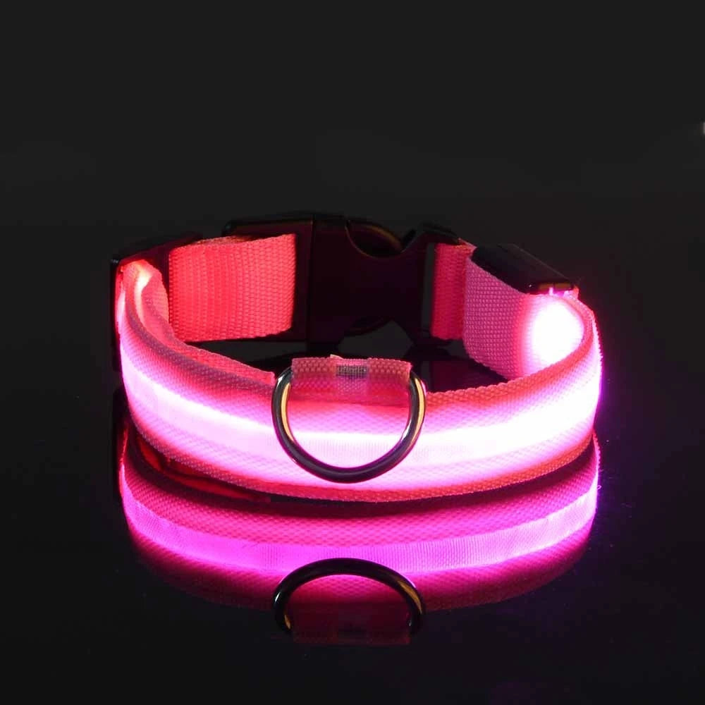 Luminous LED Dog Leash & Glow Collar – Night Safety for Pets